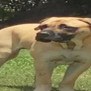 Meet your Posher, Alberto